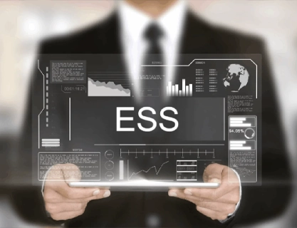 Employee Self Service Portal ESS